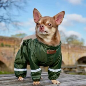 GREEN DOG COVER